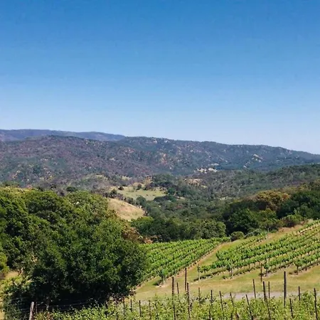 Napa Vineyard With Stunning Views By Allevo Homes